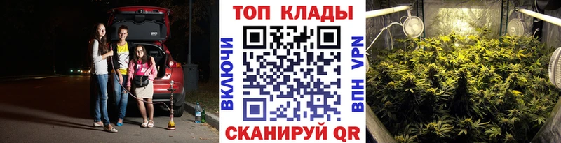 Как найти наркотики Вяземский ОМГ ОМГ как войти  Псилоцибиновые грибы  МАРИХУАНА  ГАШ  Альфа ПВП 