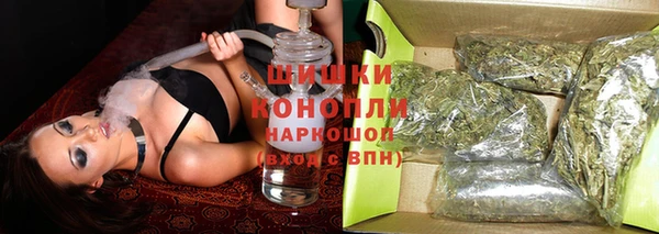 ECSTASY Инсар