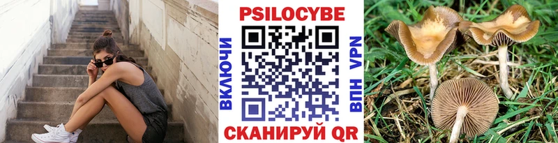 Галлюциногенные грибы ЛСД Вяземский